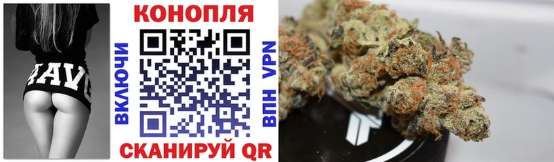 Каннабис конопля  Купить закладки  Западная Двина 